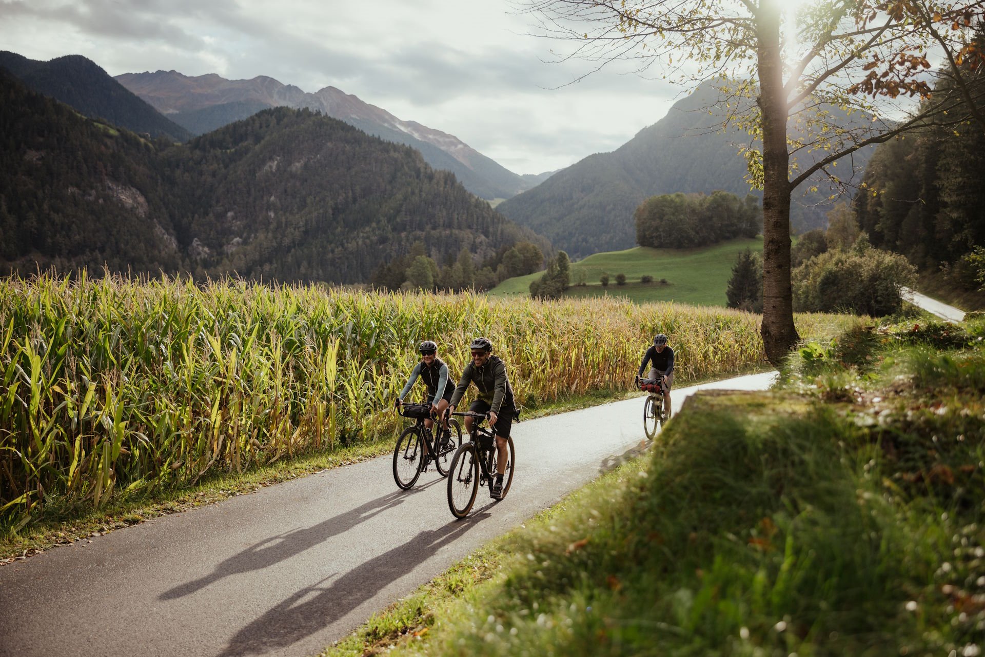Radfahrer auf dem Talradweg neben einem Maisfeld